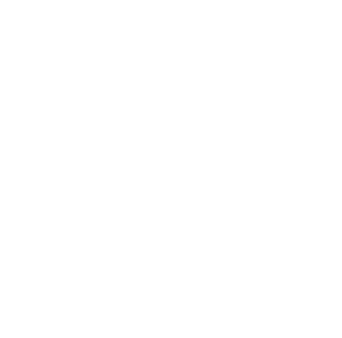Vespagiri — Parts & Services